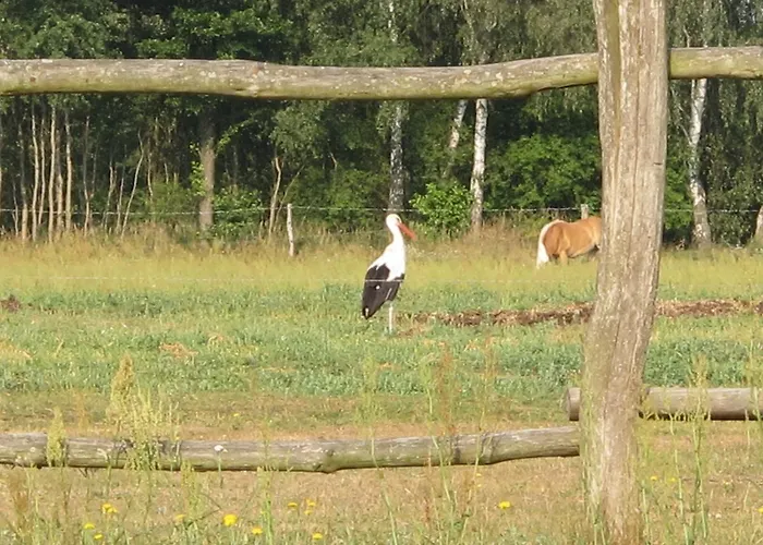 Ferienwohnungen Pustane